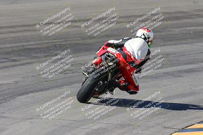 media/Feb-04-2024-SoCal Trackdays (Sun) [[91d6515b1d]]/4-Bowl Backside (11am)/